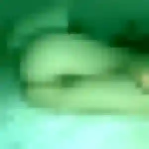 Olga, 44 ans, cherche un rencontre sexe à Aigrefeuille-sur-Maine