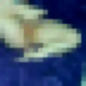 Photo privée de Bernadette, 29 ans à Angerville - rencontre sans lendemain