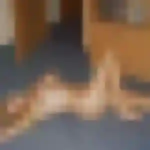 Caroline (37 ans) à Bailly-Romainvilliers propose un rencontre sexe rapidement