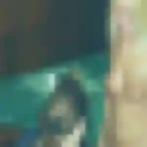 Vanessa de Beauvoir-sur-Mer, 36 ans - rencontre sexe sans prise de tête