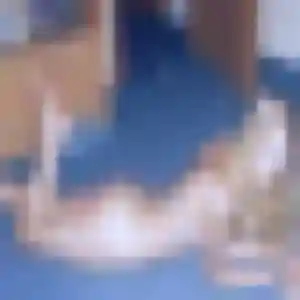 Profil de Marie-Christine à Bièvres (25 ans) - rencontre sexe anonyme