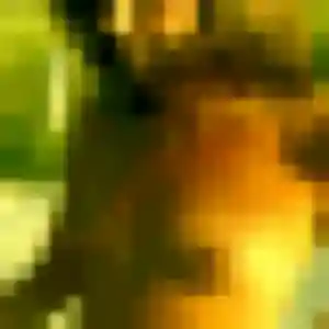 Touria, 34 ans, en ligne à Brou-sur-Chantereine pour une rencontre coquine