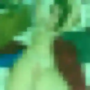 Azalee, 34 ans, cherche un rencontre sexe à Changé