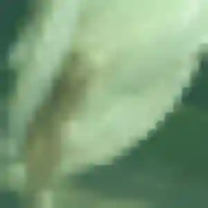Profil de Naomi à Changé (32 ans) - rencontre sexe anonyme