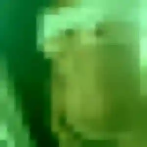 Fanny, 31 ans, en ligne à Chantonnay pour une rencontre coquine