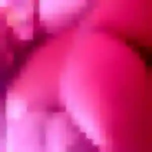 Laetitia, 36 ans, disponible à Chavagnes-en-Paillers pour une rencontre coquine
