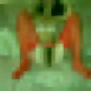 Photo privée de Isabella, 27 ans à Erdre-en-Anjou - rencontre coquine