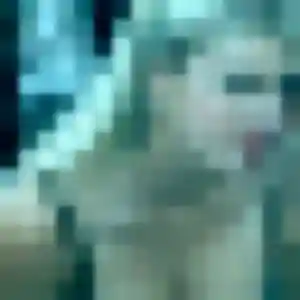 Lucienne, 41 ans, disponible à Falaise pour un rencontre sexe