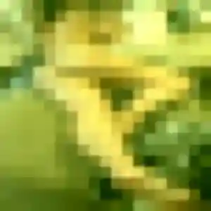 Photo de Olivia à Goussainville (45 ans) - rencontre sexe discret