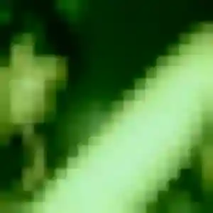 rencontre sexe à Gruchet-le-Valasse : profil de Ursula, 26 ans - inscription gratuite