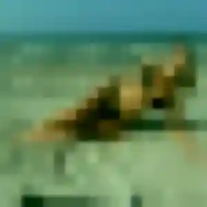 Photo de Ninon à Guyancourt (30 ans) - rencontre sexe discret