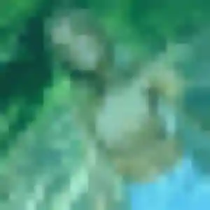 Anastasia, 20 ans, cherche un rencontre sexe à L'Étang-la-Ville