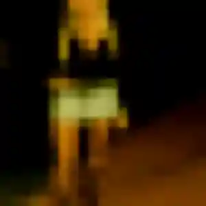 Delice, 31 ans, connectée à L'Herbergement pour un rencontre sexe