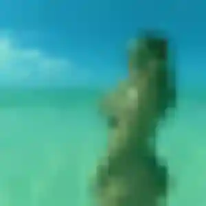 Zelda, 41 ans, disponible à La Bernerie-en-Retz pour une rencontre coquine
