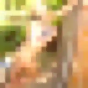 Inaya, 45 ans, connectée à La Ferté-Gaucher pour un rencontre sexe