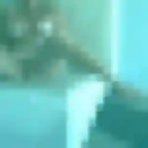 Perrine, fille de 27 ans cherche rencontre sexe à La Ferté Macé