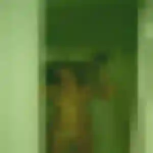 Anne-Charlotte, femme de 41 ans cherche rencontre sexe à La Rochette
