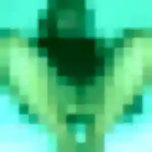 Profil de Aurore à Louverné (37 ans) - rencontre sexe gratuit