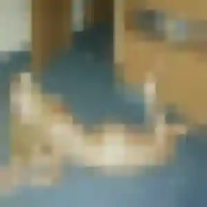 Rejoins Judith, 42 ans à Machecoul-Saint-Même en privé