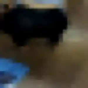 Penelope, 43 ans, cherche un rencontre sexe à Magny-les-Hameaux