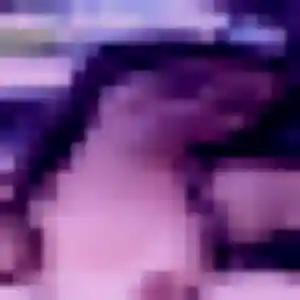 Quitterie, 29 ans, dispo pour rencontre sexe à Magny-les-Hameaux
