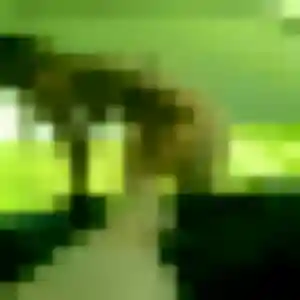Photo de Hajar à Marines (26 ans) - rencontre sexe anonyme