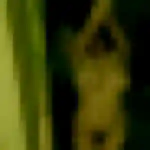 Penelope (45 ans) à Marly-la-Ville cherche une rencontre rapidement