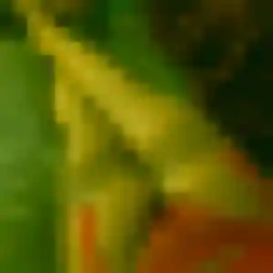 Noemie, 36 ans, en ligne à Montoir-de-Bretagne pour un rencontre sexe