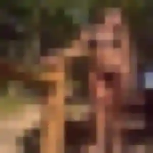 Photo de Augustine à Montval-sur-Loir (24 ans) - rencontre sexe sans inscription