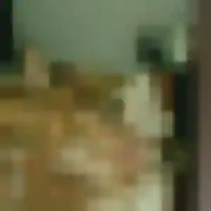 Fiona, 35 ans, cherche un rencontre sexe à Morannes sur Sarthe-Daumeray