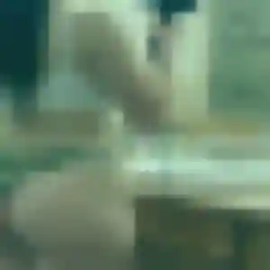 Photo de Patricia à Octeville-sur-Mer (38 ans) - rencontre sexe sans inscription