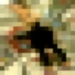 Photo de Prisca à Oudon (45 ans) - rencontre sexe discret