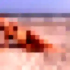 Daphne, 37 ans, en ligne à Quettreville-sur-Sienne pour un rencontre sexe