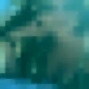 Photo sexy de Rachida, 45 ans à Quincy-Voisins - rencontre sans lendemain