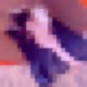Marilou, 26 ans, dispo pour rencontre sexe à Rambouillet