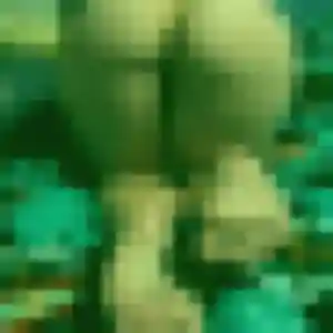 Photo de Colombe à Saint-Mard (37 ans) - rencontre sexe anonyme