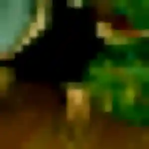 Photo perso de Lamia, 39 ans à Saint-Ouen-l'Aumône - rencontre coquine