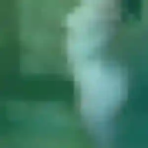 Photo exclusive de Odile, 42 ans à Saint-Vrain - rencontre sans lendemain