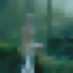 Photo de Xaviere à Sargé-lès-le-Mans (32 ans) - rencontre sexe gratuit