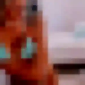 Photo perso de Elvire, 24 ans à Sartrouville - rencontre coquine