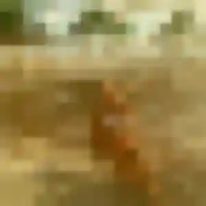 Photo privée de Anais, 43 ans à Saumur - rencontre coquine