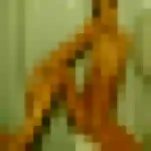 Photo de Axelle à Sceaux (22 ans) - rencontre sexe gratuit