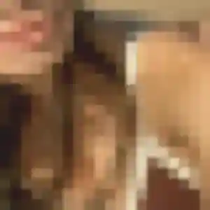 rencontre sexe à Sées : photo de Rosalie, 20 ans - inscription gratuite