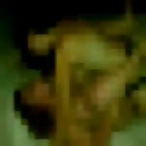 Photo sexy de Romina, 45 ans à Villers-Bocage - rencontre sans lendemain