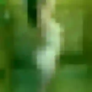 Rosemarie, 45 ans, connectée à Villers-Bocage pour un rencontre sexe